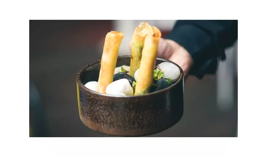 52C - Japan Fusion Experience