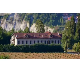 Tenuta Larenzania