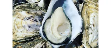 Ristorante Alberto Capo