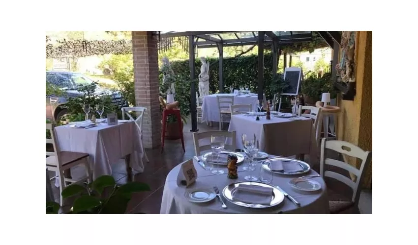 Ristorante Il Gallo della Checca