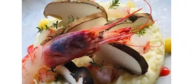 Ristorante Il Gallo della Checca