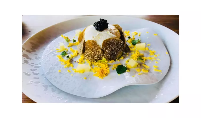 Ristorante Il Gallo della Checca