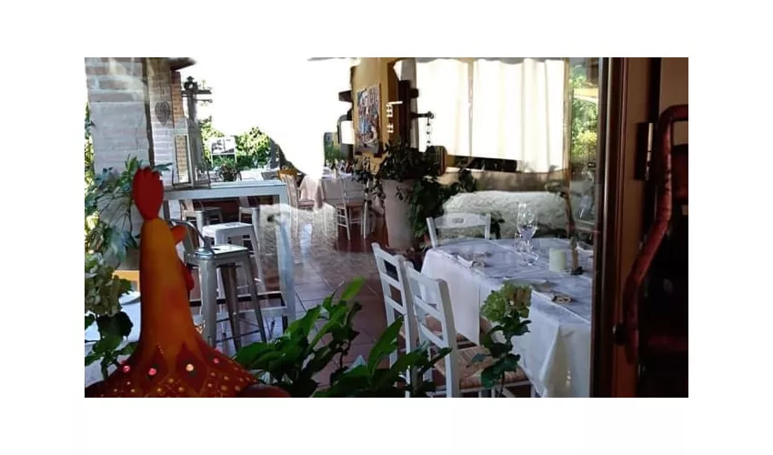 Ristorante Il Gallo della Checca