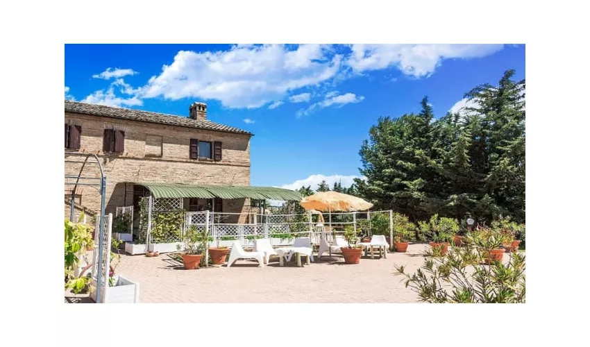 Centro rurale di ristoro e degustazione "Il Vecchio Olmo"