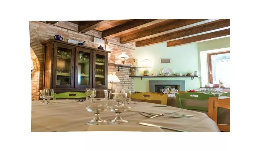 Centro rurale di ristoro e degustazione "Il Vecchio Olmo"