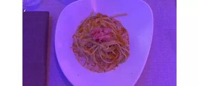 TAZ Siena