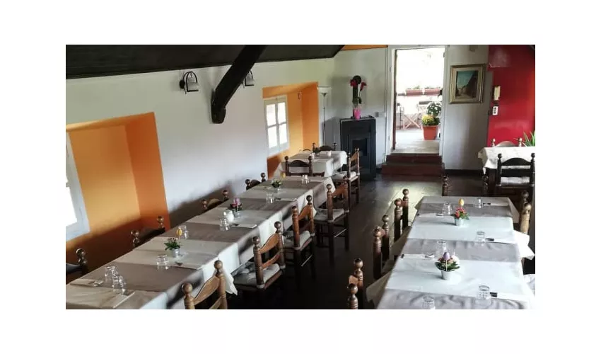 Fattoria del Pino