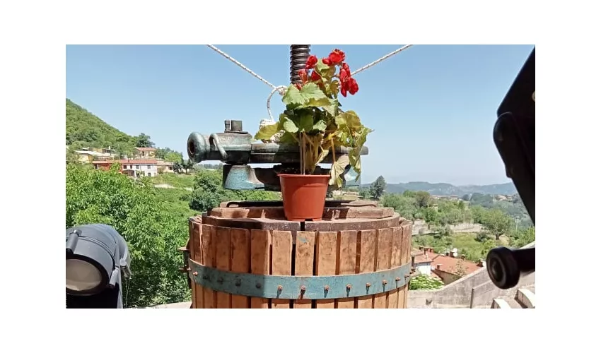 Ristorante Pizzeria 'O Scozzese