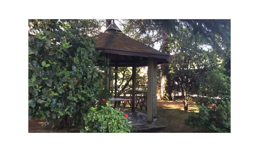 Ristorante Pinocchio