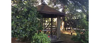 Ristorante Pinocchio