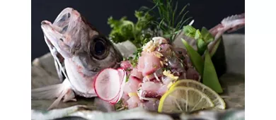 'Osushi Japanese Experience