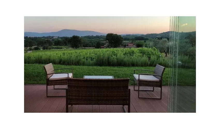 Azienda Agricola Pileum