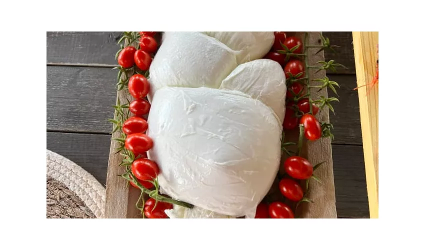 Enogastronomia Zia Menica