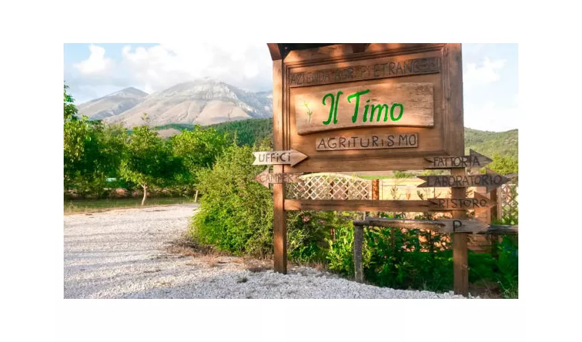 Agriturismo Il Timo