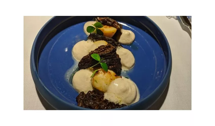 AD MAIORA RISTORANTE