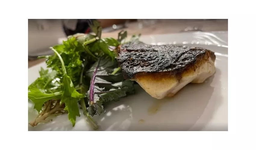 La Locanda di Montesegale - Food & Relax - cucina con camere