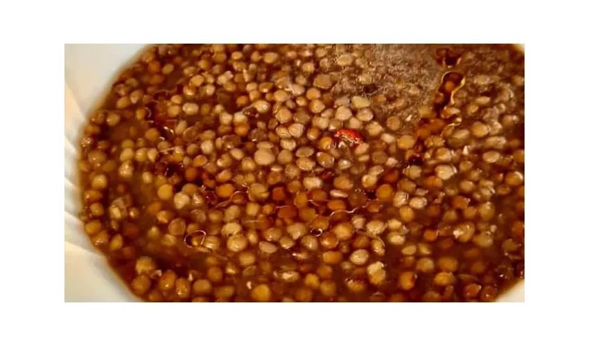 Agriturismo L'Uliveto