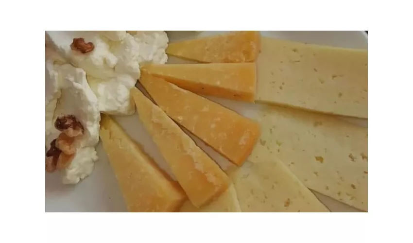 Agriturismo L'Uliveto