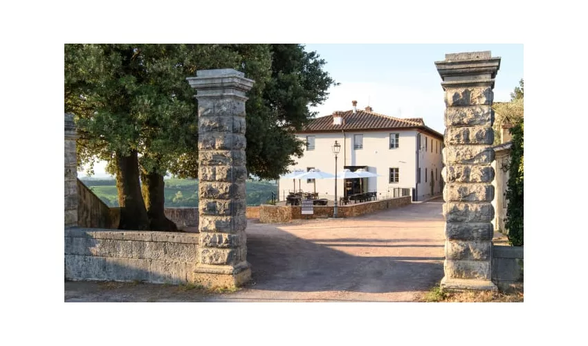 Laqua Vineyard