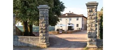 Laqua Vineyard