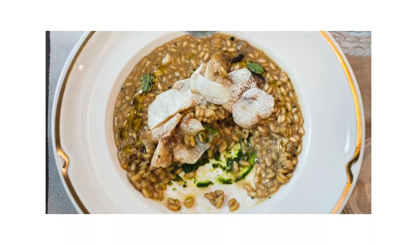 Mastro Cibo e Cucina