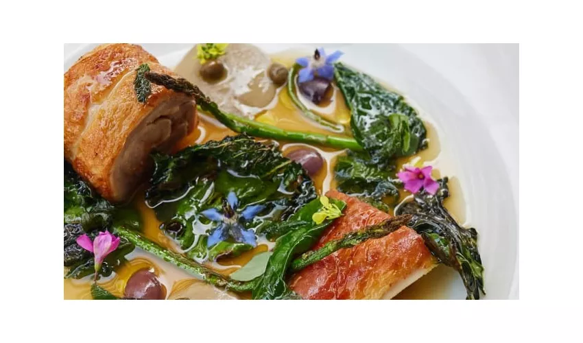 Mastro Cibo e Cucina