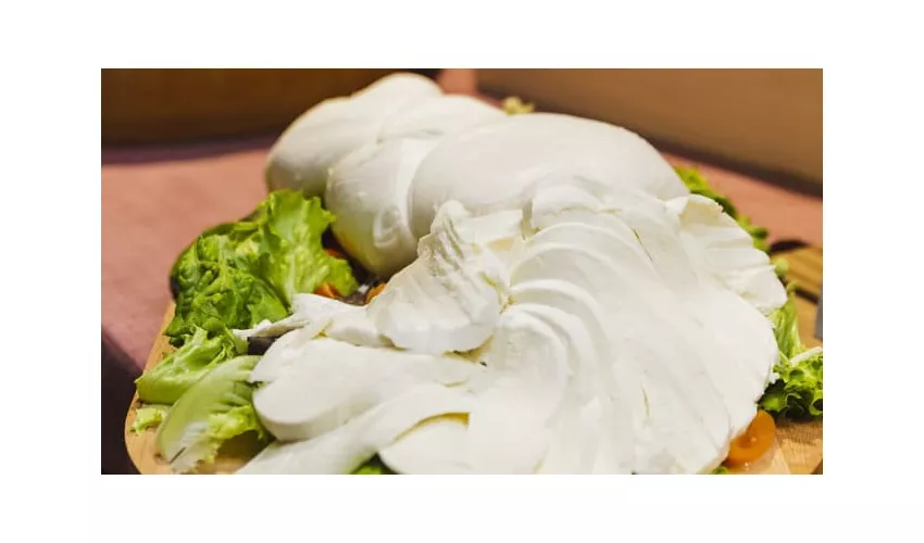 Signorvino Foiano Della Chiana