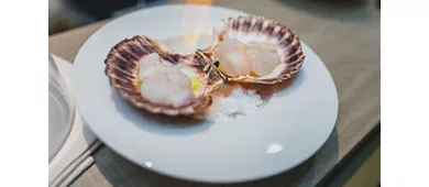 Sushita
