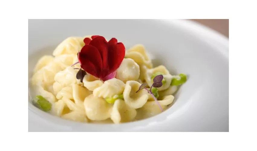 AC Hotel by Marriott Milan Sesto