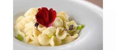 AC Hotel by Marriott Milan Sesto