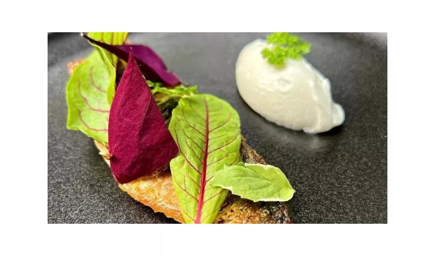 Robata 21 Sushi & Grill