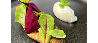 Robata 21 Sushi & Grill