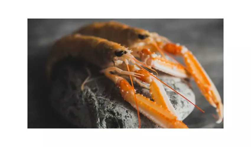 Stone Restaurant | Cocktail bar