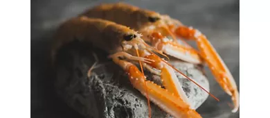 Stone Restaurant | Cocktail bar