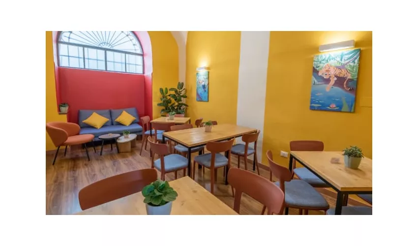 Contempo Bar Experience