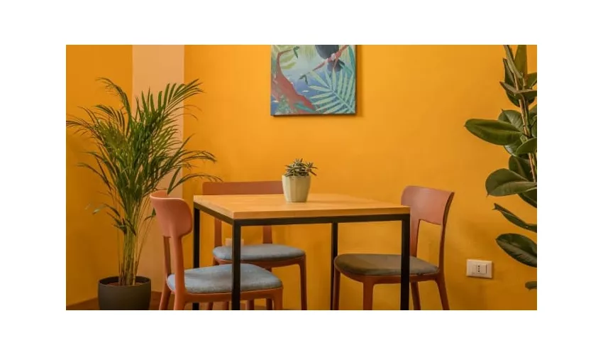 Contempo Bar Experience