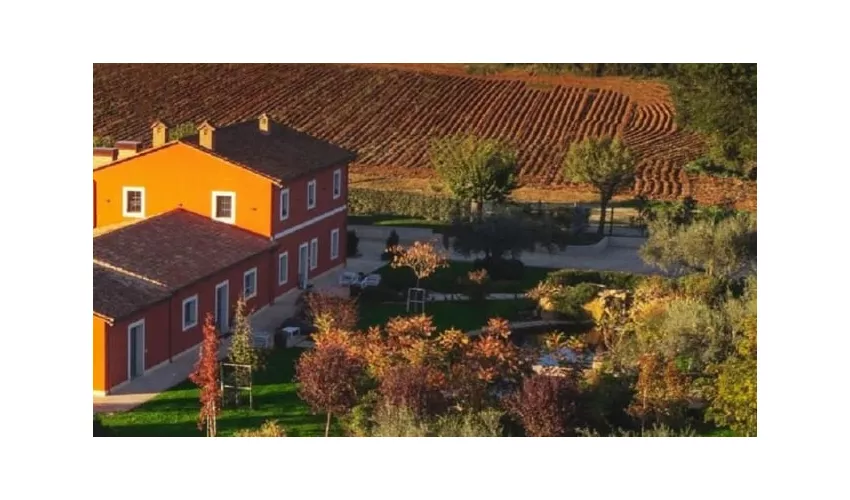 Zero Restaurant a Tenuta Fogliani
