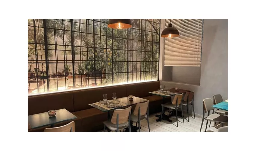 Sette Plus - Wagner Milano