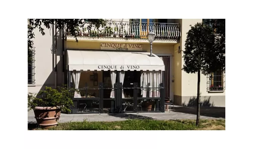 Cinque Di Vino