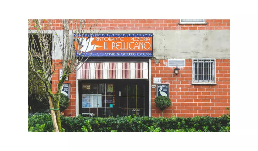 Il Pellicano
