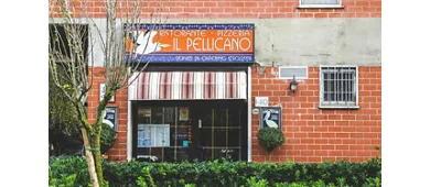 Il Pellicano