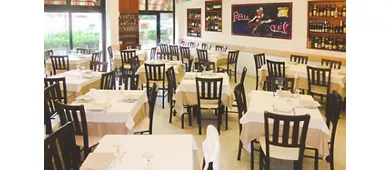 Il Pellicano