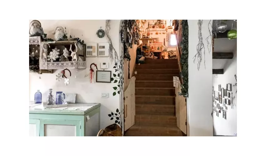 CIM - La Taverna del Castoro