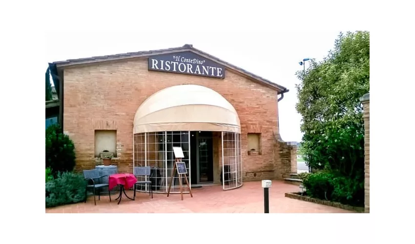 Il ConteDino