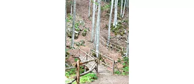 Ecomuseo Montagna Pistoiese - Orto Botanico Forestale