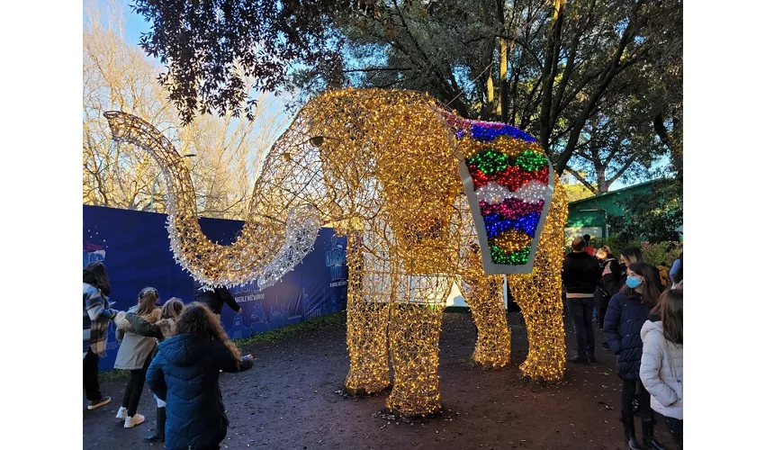 Auditorium Parco della Musica