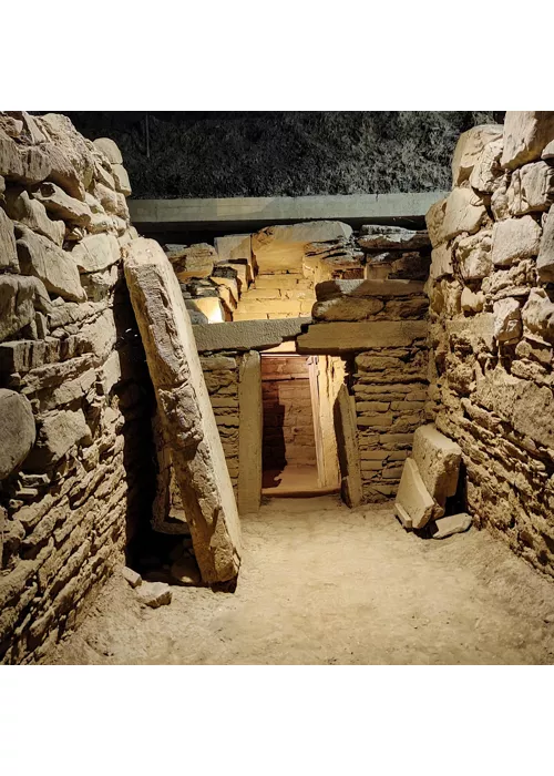 Tumulus von Montefortini - Archäologisches Gebiet Comeana