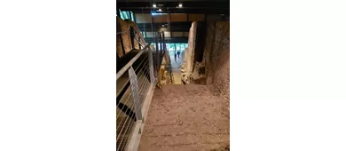 Tumulo di Montefortini - Area Archeologica di Comeana