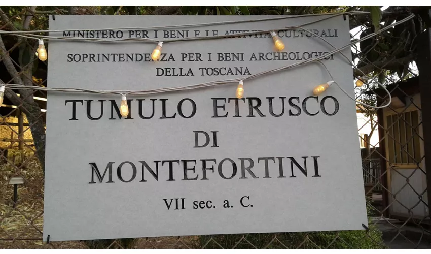 Tumulus von Montefortini - Archäologisches Gebiet Comeana
