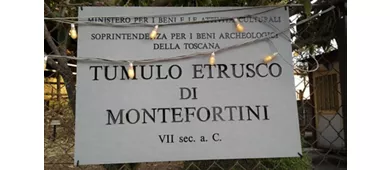 Tumulus von Montefortini - Archäologisches Gebiet Comeana